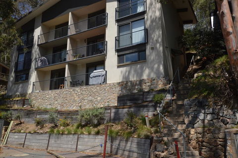 Celesia 2 - Accommodation Daintree 3