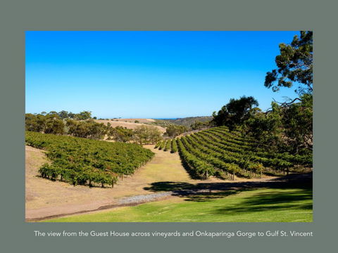 Chapel Hill Winery Guest House - Accommodation Daintree 1