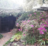 Charming country house close to Grafton - Accommodation Daintree