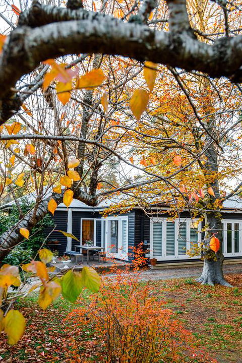 Charming Mountain Cottage - Accommodation Daintree 3
