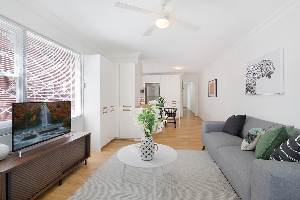 Ashfield NSW Accommodation Daintree