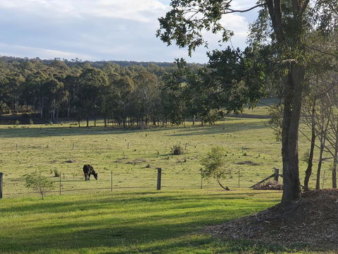 Charolais Cottage - Accommodation Daintree 3