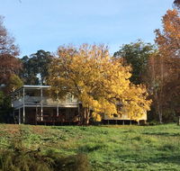 Chestnut Brae Farmstay - Accommodation Daintree