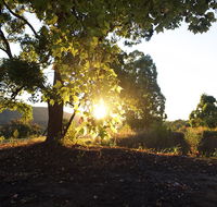 Clarendon Forest Retreat - Accommodation Daintree