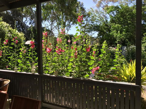 Clarevale Cottage B&B - Accommodation Daintree 1