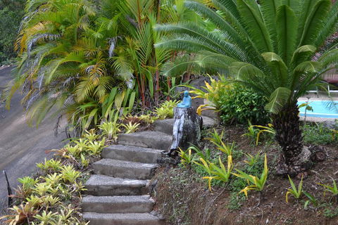 Cloud 9 - Accommodation Daintree 1