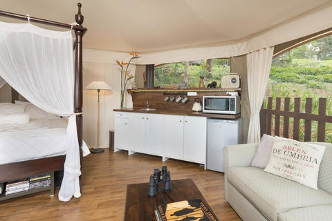 Clouds Safari - Accommodation Daintree 1