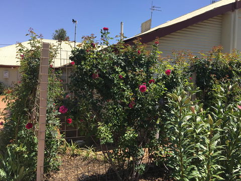 Club Boutique Hotel Cunnamulla - Accommodation Daintree 2