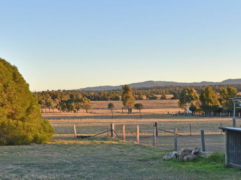 Clydesdale Cottage On Talga With Real Clydesdale Horses - Accommodation Daintree 1