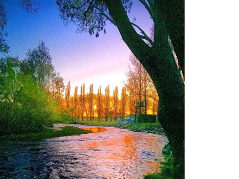 Colac Colac Caravan Park - Accommodation Daintree 2