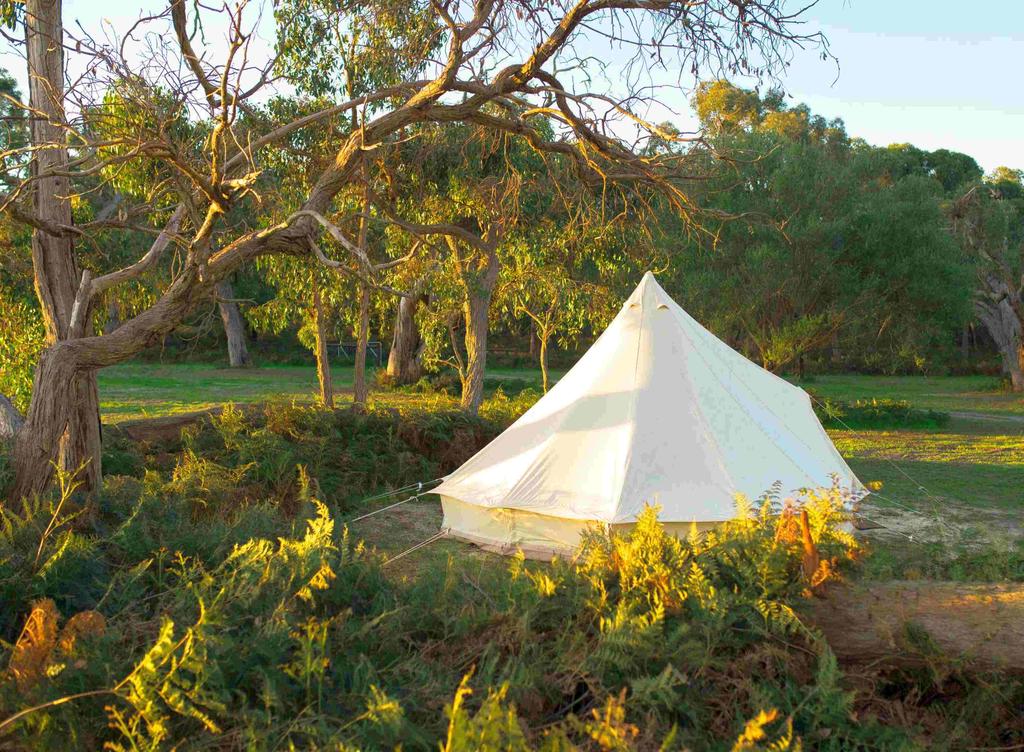 Comaum SA Accommodation Daintree