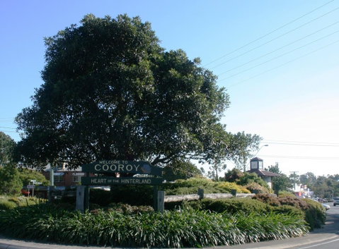 Cooroy Luxury Motel Apartments - Accommodation Daintree 2