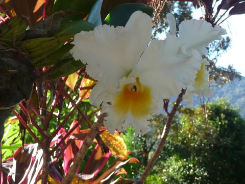 Coral Sea Views - Accommodation Daintree 2