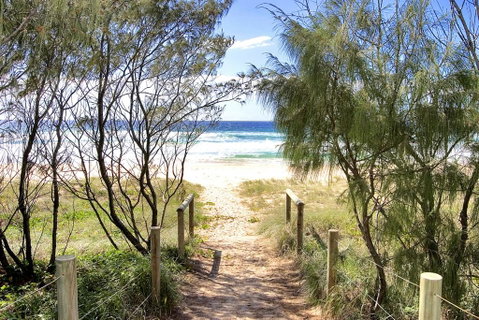 COTTON BEACH SUITE 108 - Accommodation Daintree 3