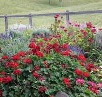 Country Mile Escape - Accommodation Daintree