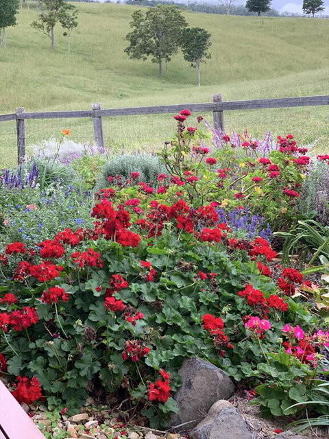 Country Mile Escape - Accommodation Daintree 0