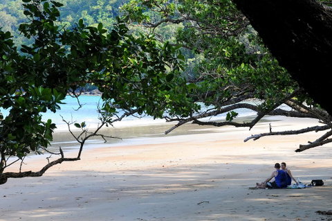 Cow Bay Homestay B&B - Accommodation Daintree 1