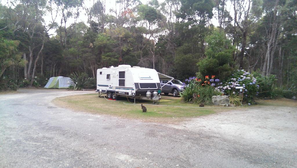 Crayfish Creek TAS Accommodation Daintree