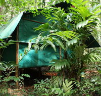 Daintree Crocodylus - Accommodation Daintree