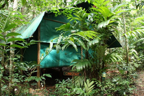 Daintree Crocodylus - Accommodation Daintree 0