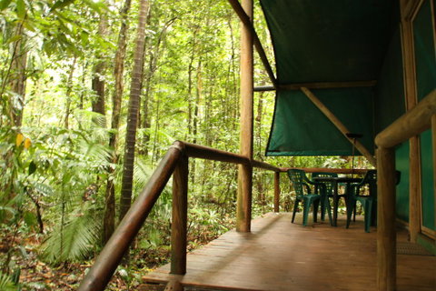 Daintree Crocodylus - Accommodation Daintree 1