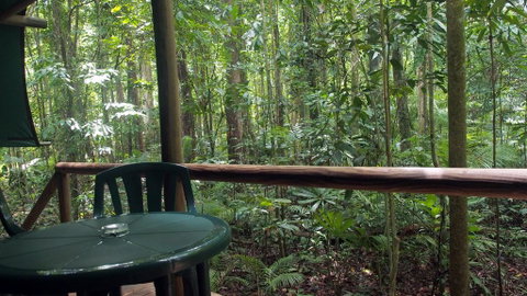 Daintree Crocodylus - Accommodation Daintree 2