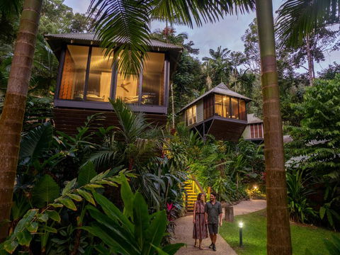 Daintree Ecolodge - Accommodation Daintree 0