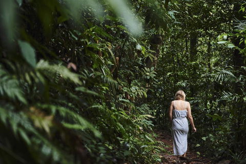 Daintree Ecolodge - Accommodation Daintree 2