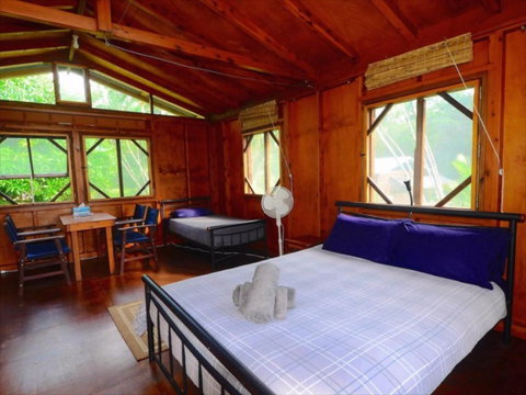 Daintree Rainforest Bungalows - Accommodation Daintree 2