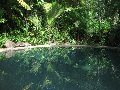 Daintree Rainforest Retreat Motel - Accommodation Daintree 0
