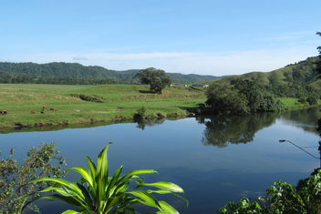Daintree Riverview Lodges with Accommodation Daintree