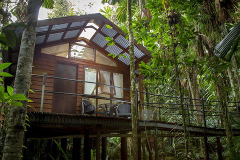 Daintree Wilderness Lodge - Accommodation Daintree 2