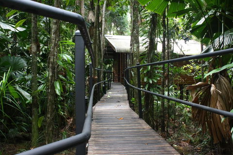Daintree Wilderness Lodge - Accommodation Daintree 0
