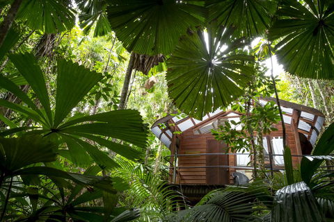 Daintree Wilderness Lodge - Accommodation Daintree 1