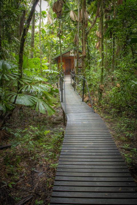Daintree Wilderness Lodge - Accommodation Daintree 3