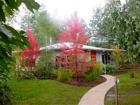 Dalrymples Guest Cottages - Accommodation Daintree 0