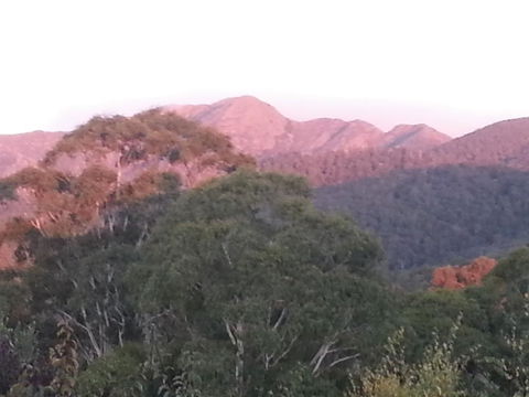 Day Dream Cottage - Accommodation Daintree 2