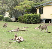 Depot Beach Cabins - Accommodation Daintree