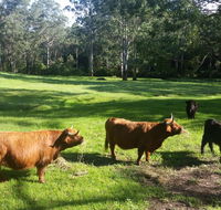Dingley Dell - Accommodation Daintree