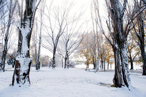 Discovery Parks - Jindabyne - Accommodation Daintree 3