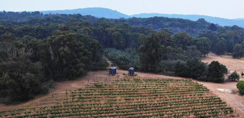 Double Oaks Tiny House - Accommodation Daintree 0