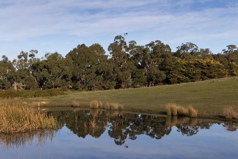 Double Oaks Tiny House - Accommodation Daintree 1