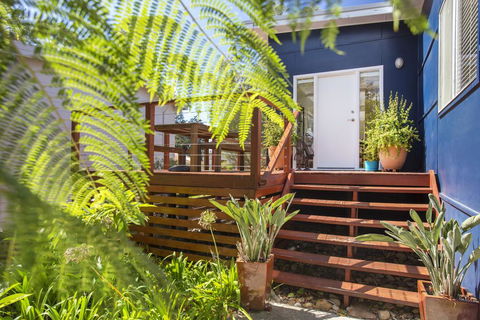 Driftwood Cottage - Accommodation Daintree 3