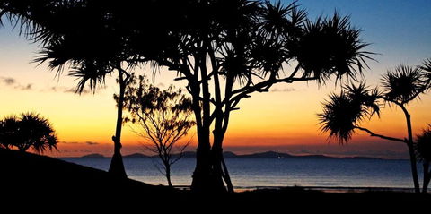 Driftwood Motel And Holiday Units - Accommodation Daintree 2