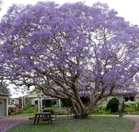 Ecotel Narooma - Accommodation Daintree