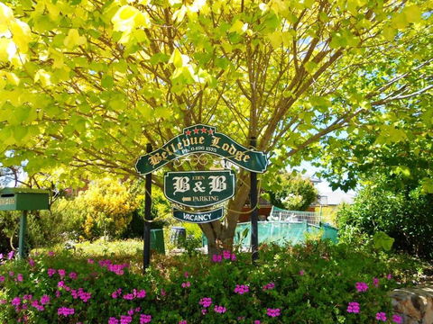Eden Bed & Breakfast - Accommodation Daintree 0