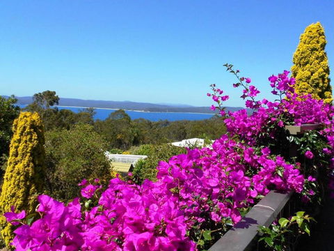 Eden Bed & Breakfast - Accommodation Daintree 2