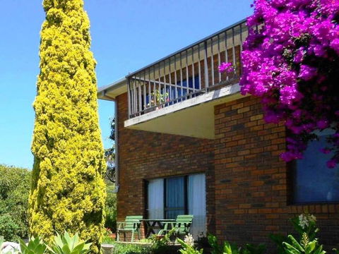 Eden Bed & Breakfast - Accommodation Daintree 1