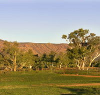 Edeowie Station - Accommodation Daintree