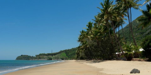 Ellis Beach Oceanfront Bungalows - Accommodation Daintree 1